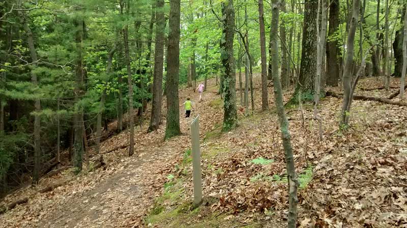 the old baldy trail mears state park pentwater